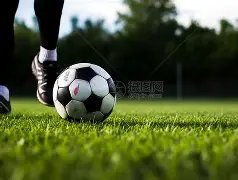 泽连斯基将,日与特朗普,举行会面,开云官网,kaiyun·开云（中国）APP,KaiYun,开云平台