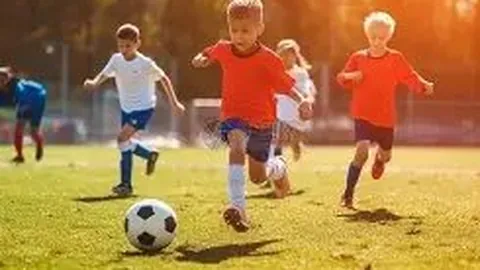 kaiyun·开云（中国）