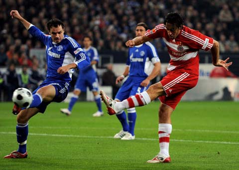 克羅斯簡介:個人資料詳述